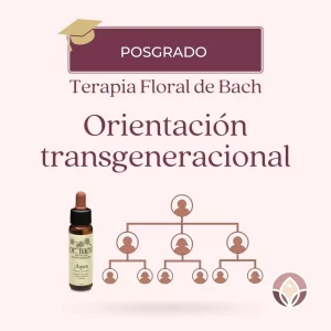 Orientación transgeneracional