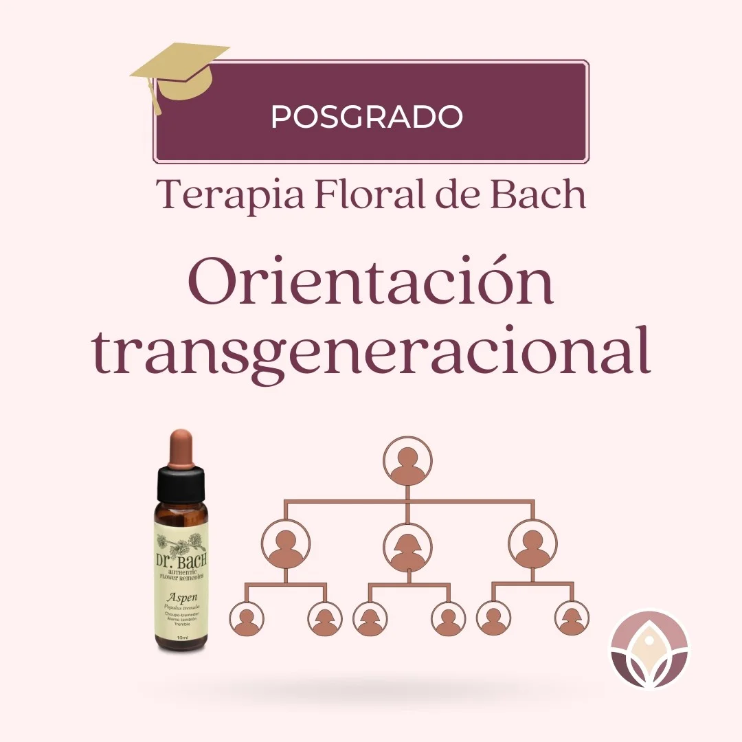 Orientación transgeneracional