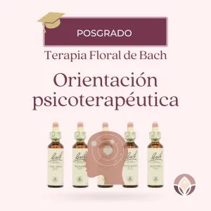 Orientación psicoterapéutica