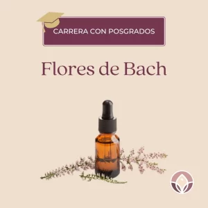 Flores de Bach