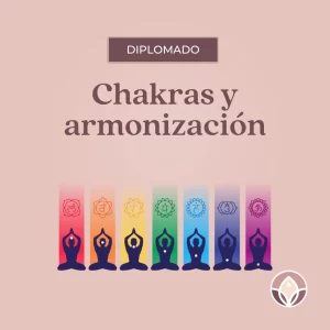 Chakras y armonización